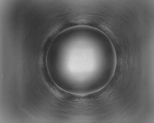 X0000075410735200609151846