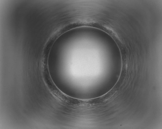 X0000075410736200609151846
