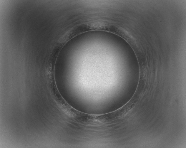 X0000075410737200609151846