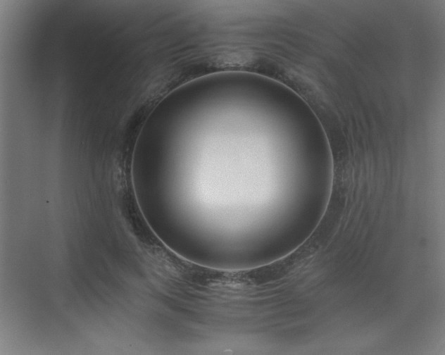 X0000075410743200609151846