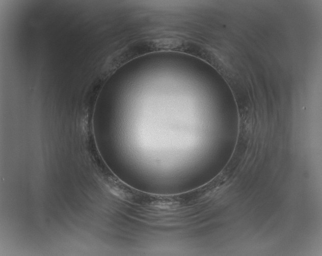 X0000075410745200609151846