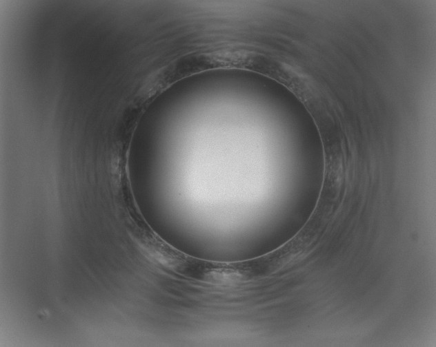 X0000075410749200609151846