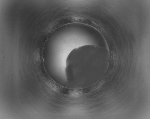 X0000075410754200609151846