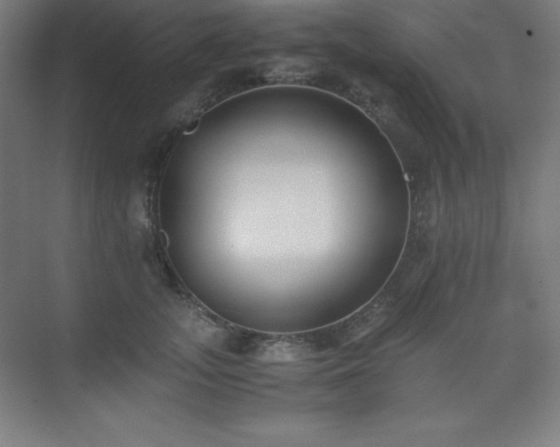 X0000075410755200609151847