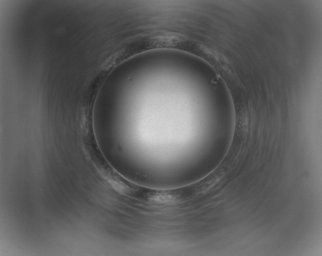 X0000075410759200609151847
