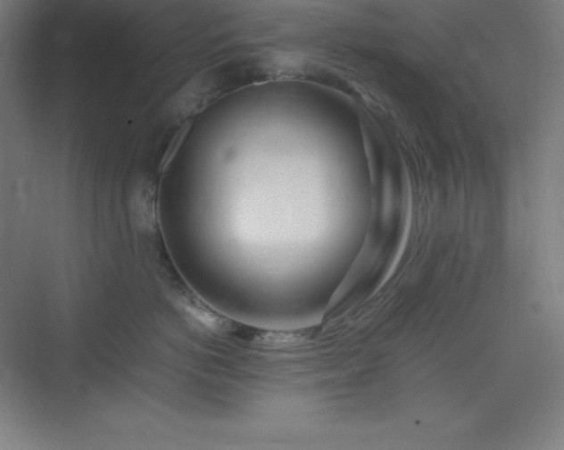 X0000075410766200609151847