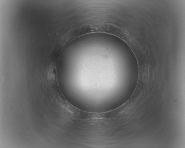 X0000075410770200609151846