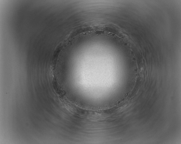X0000075410772200609151846
