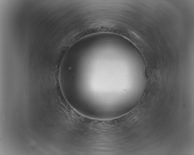 X0000075410774200609151846