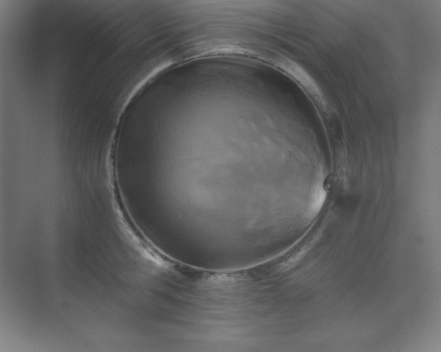 X0000075410806200609151845