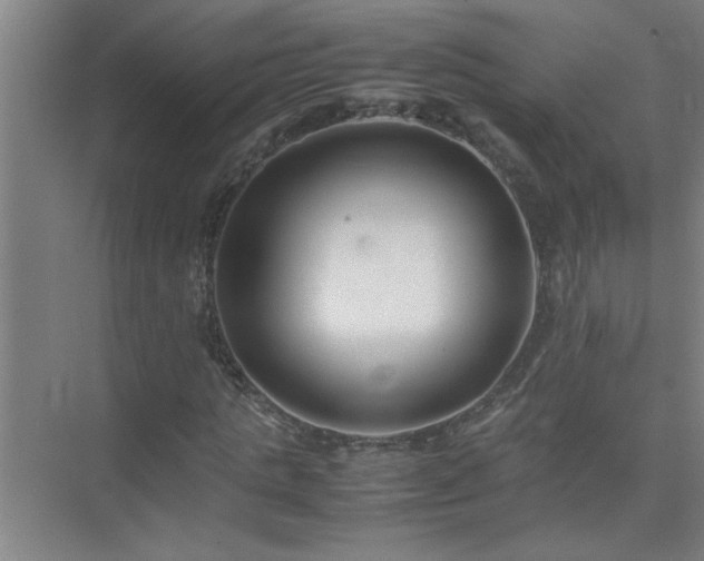 X0000075410821200609151844