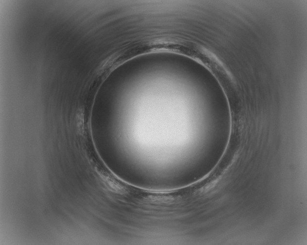 X0000075410825200609151844