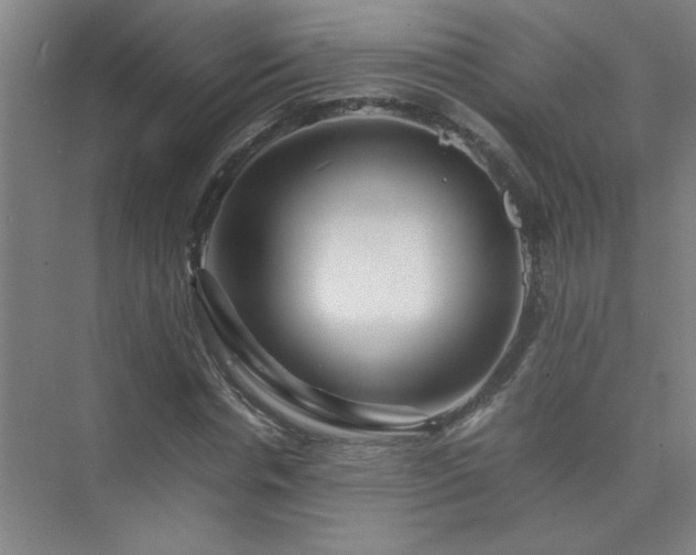 X0000075410826200609151844