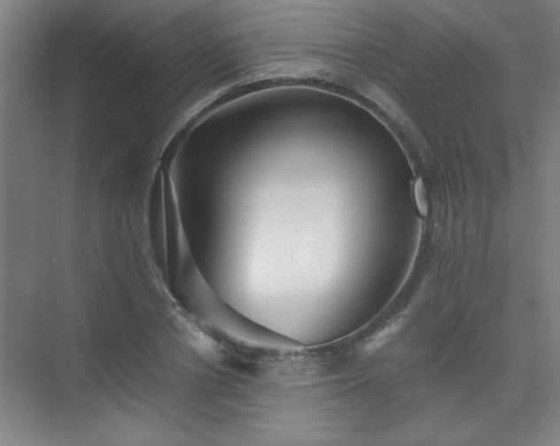X0000075410834200609151845