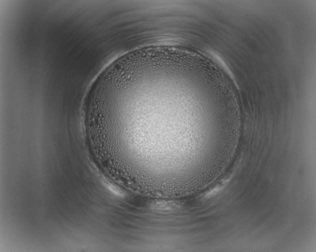 X0000075410835200609151845