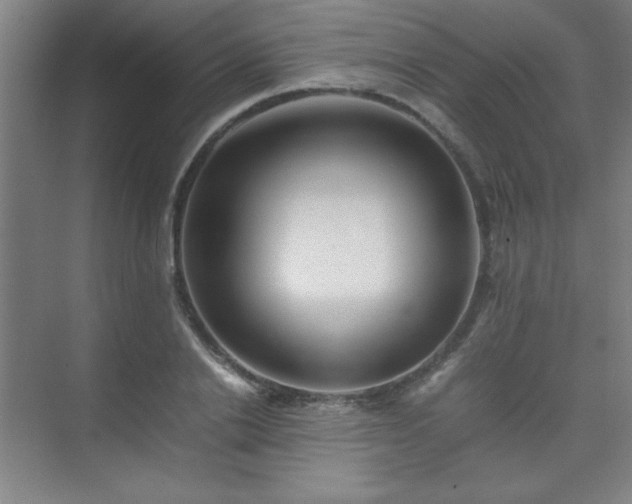 X0000075410838200609151845
