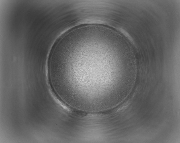 X0000075410840200609151845