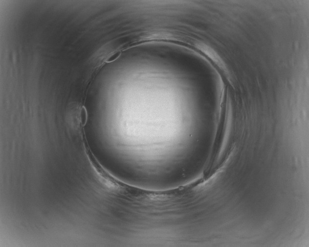 X0000075410849200609151845