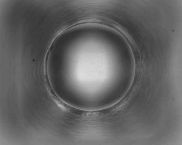 X0000075410858200609151845