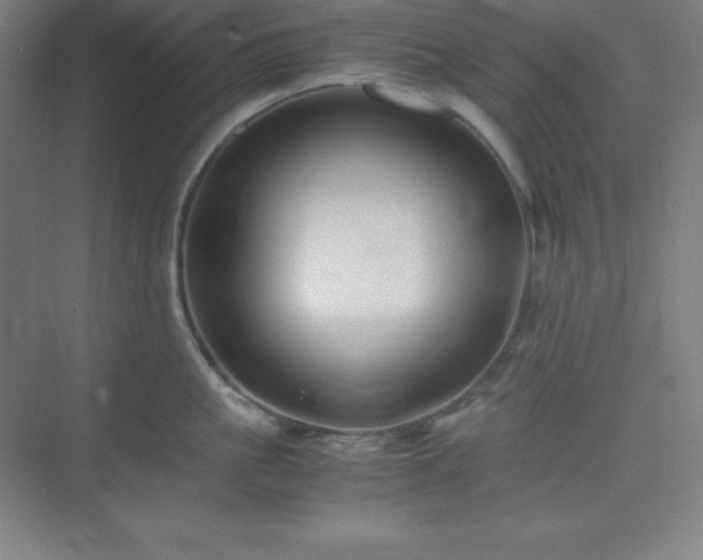 X0000075410861200609151845