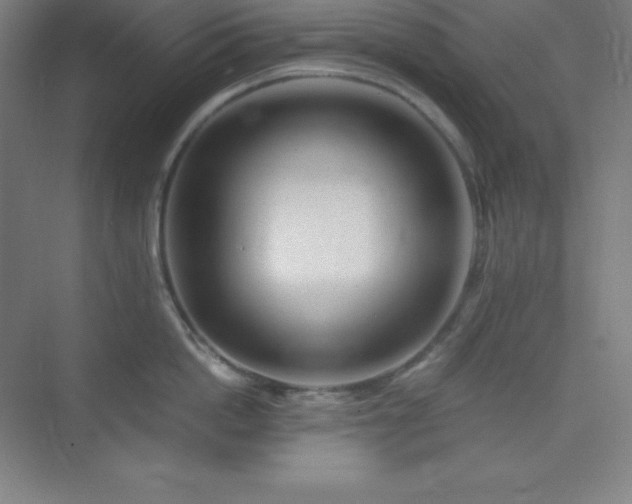 X0000075410862200609151845