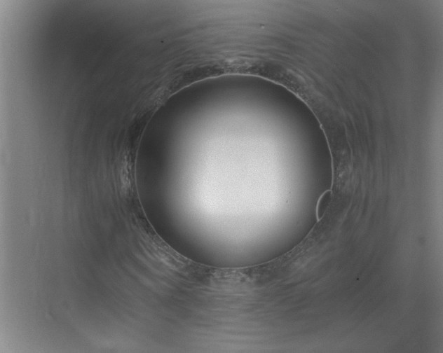 X0000075410866200609151844