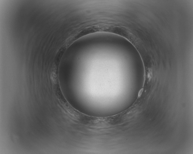 X0000075410867200609151844
