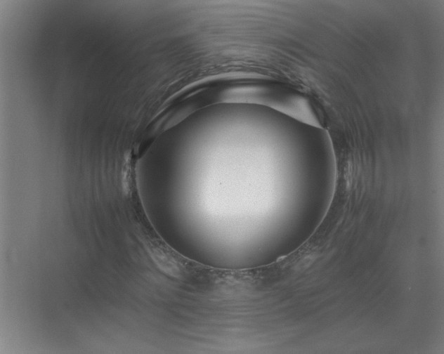 X0000075410868200609151844