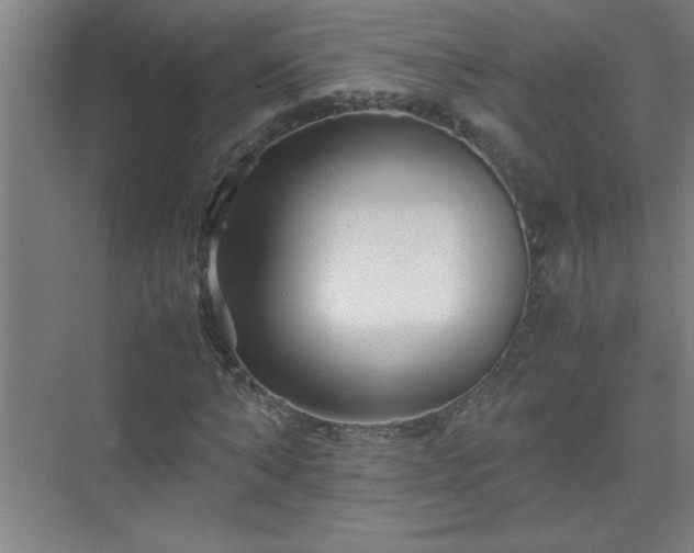 X0000075410870200609151844