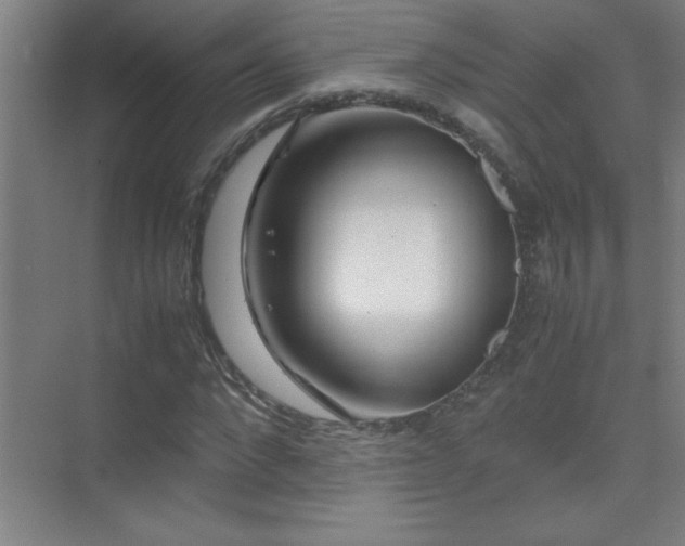 X0000075410872200609151844