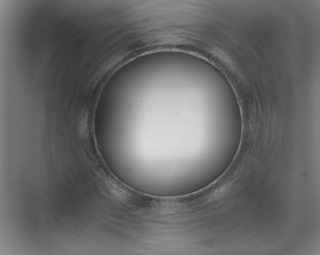 X0000075410873200609151844