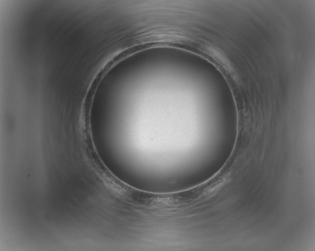 X0000075410883200609151844