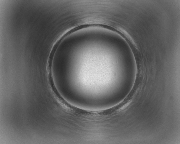 X0000075410885200609151844