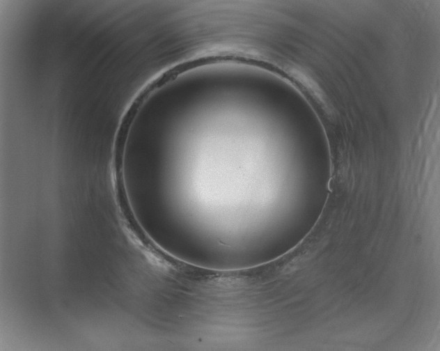 X0000075410888200609151844