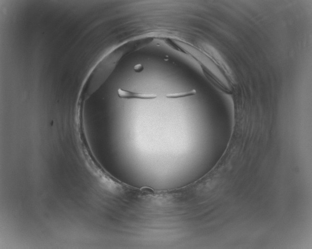 X0000075410900200609151844