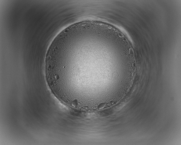 X0000075410903200609151844