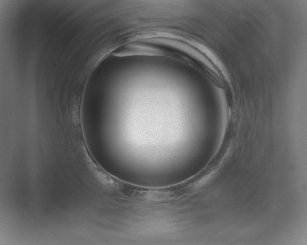 X0000075410905200609151844