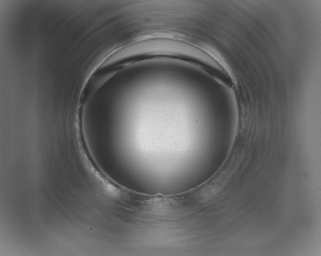 X0000075410906200609151844