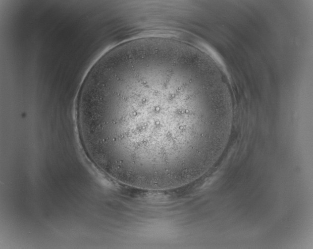 X0000075410907200609151844