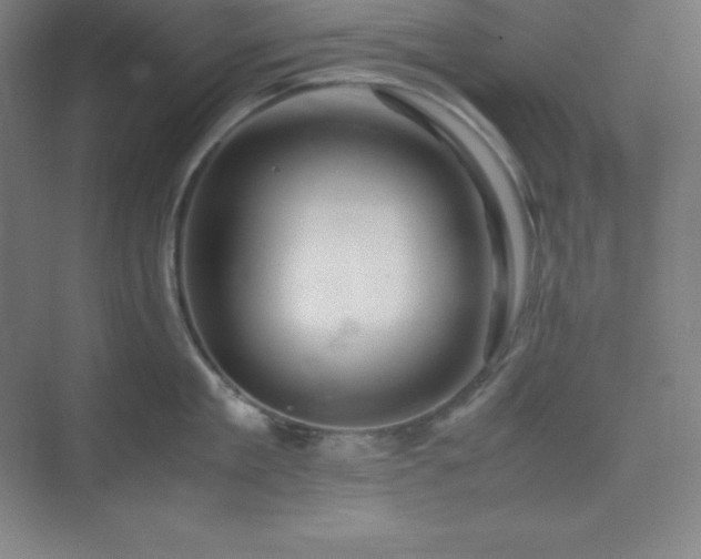 X0000075410909200609151844