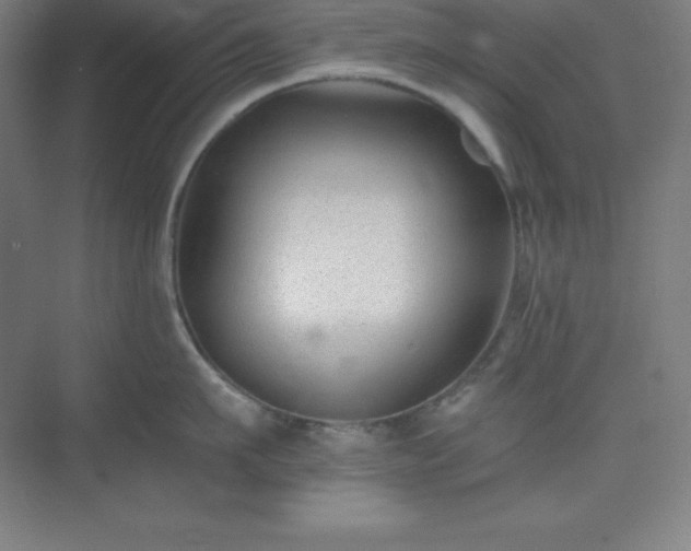 X0000075410911200609151844