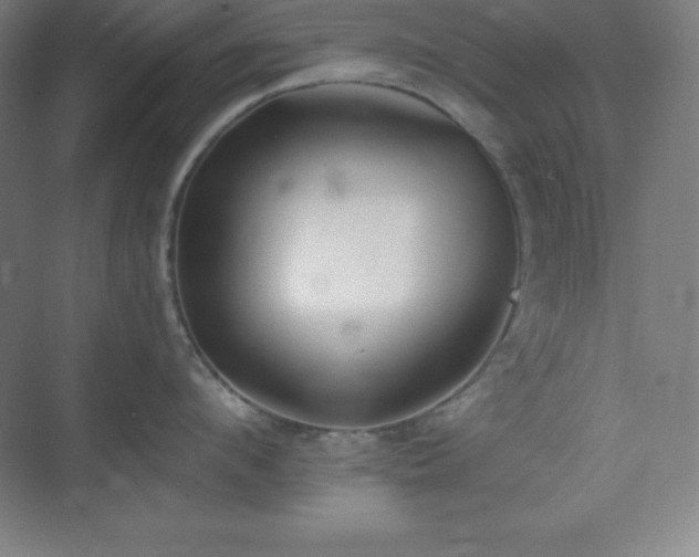 X0000075410912200609151844