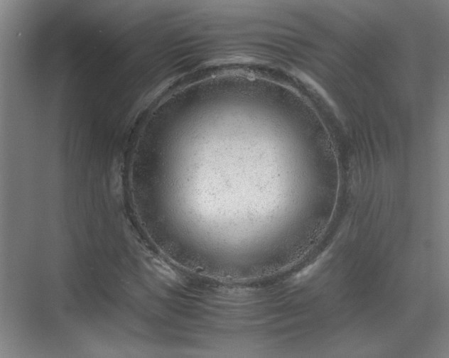 X0000075410921200609151843