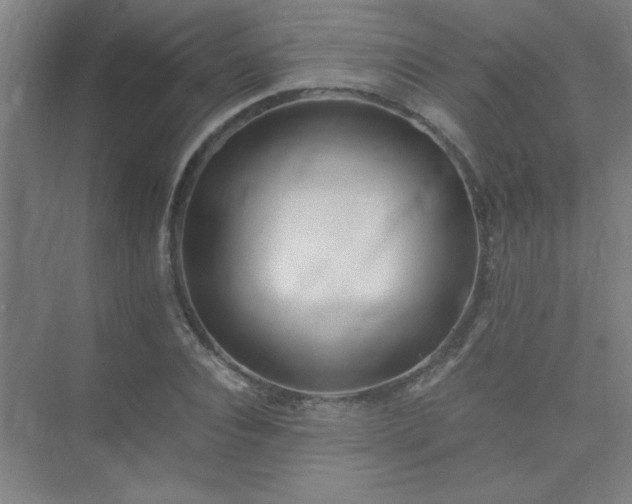 X0000075410928200609151843