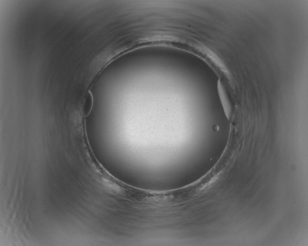 X0000075410937200609151843
