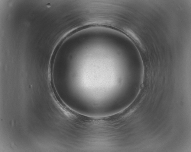X0000075410940200609151843