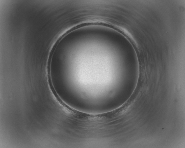 X0000075410943200609151843