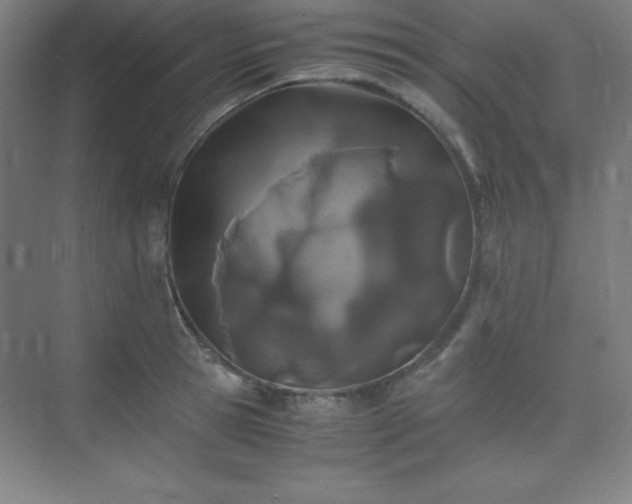 X0000075410945200609151843