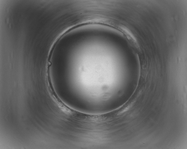 X0000075410948200609151843