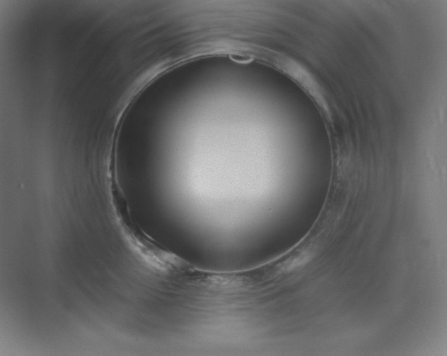 X0000075410954200609151843
